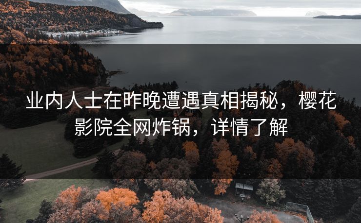 业内人士在昨晚遭遇真相揭秘，樱花影院全网炸锅，详情了解