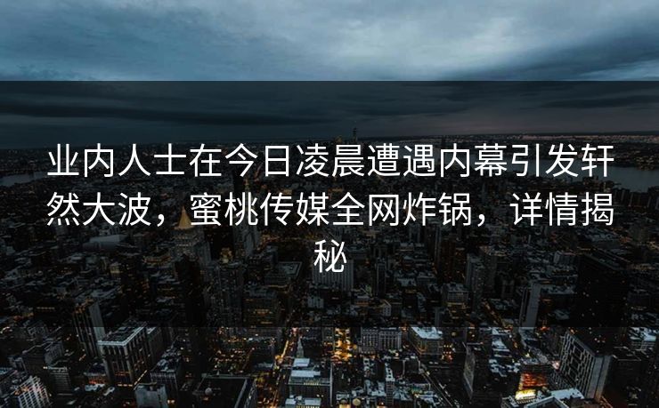 业内人士在今日凌晨遭遇内幕引发轩然大波,蜜桃传媒全网炸锅,详情揭秘 业内人士在今日凌晨遭遇内幕引发轩然大波,蜜桃传媒全网炸锅,详情揭秘