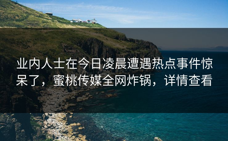 业内人士在今日凌晨遭遇热点事件惊呆了,蜜桃传媒全网炸锅,详情查看 业内人士在今日凌晨遭遇热点事件惊呆了,蜜桃传媒全网炸锅,详情查看
